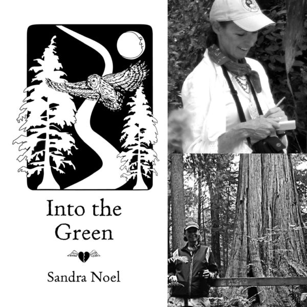 Into the Green by Sandra Noel