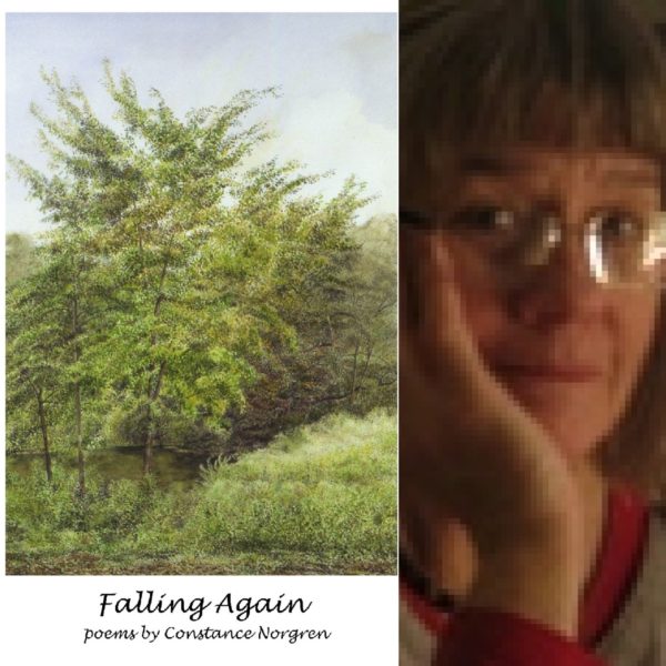 Falling Again by Constance Norgren