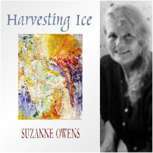 Harvesting Ice by Suzanne Owens