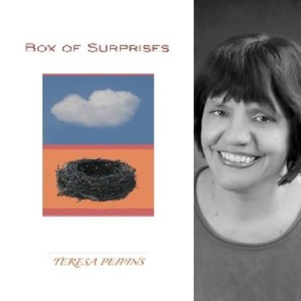 Box of Surprises by Teresa Peipins