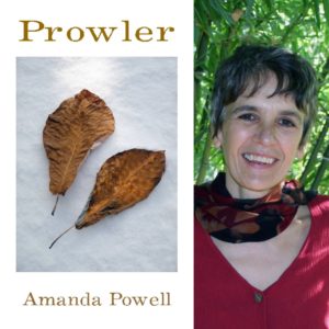 Prowler by Amanda Powell