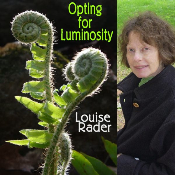 Opting for Luminosity by Louise Rader