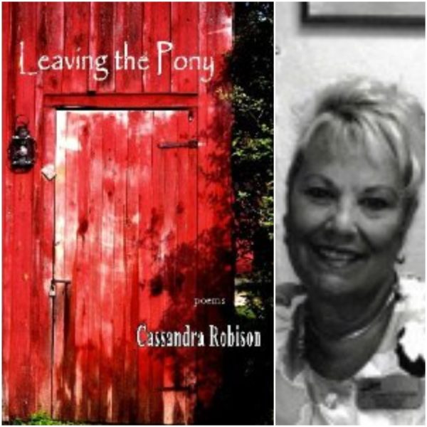 Leaving the Pony by Cassandra Robison