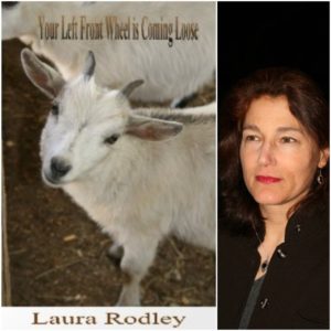Your Left Front Wheel Is Coming Loose by Laura Rodley