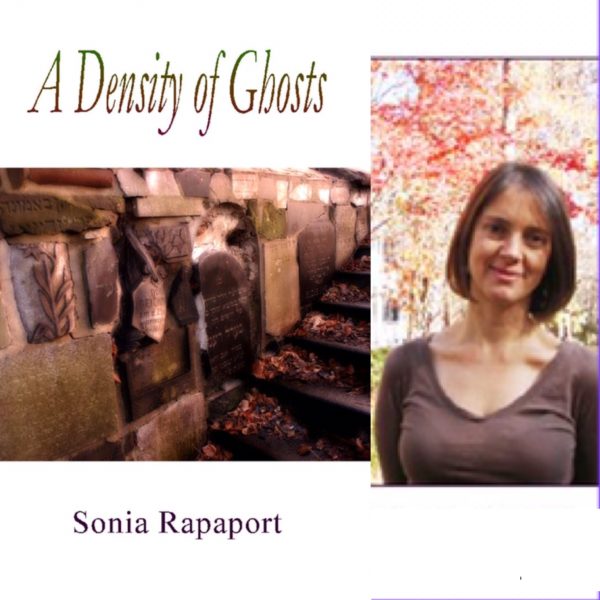 A Density of Ghosts by Sonia Rapaport