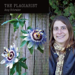 The Plagiarist by Amy Schrader