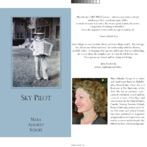 Sky Pilot by Mara Adamitz Scrupe