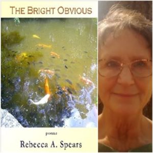 The Bright Obvious by Rebecca A. Spears