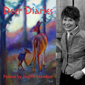 Deer Diaries by Judith Stanton