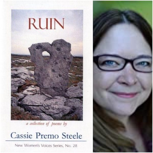 Ruin by Cassie Premo Steele (NWVS, #28)