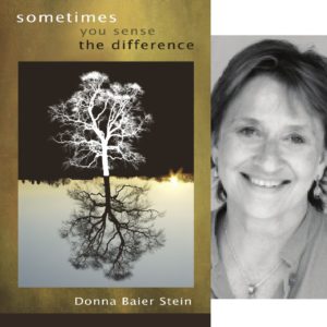 Sometimes You Sense the Difference by Donna Baier Stein