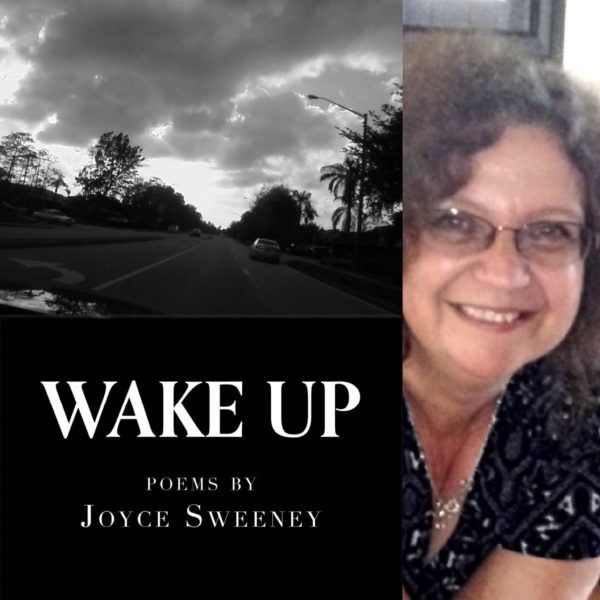 Wake Up by Joyce Sweeney