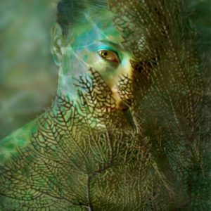 A Sea Change by Lisa Fleck Dondiego