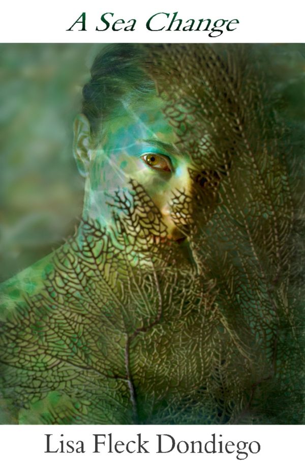 A Sea Change by Lisa Fleck Dondiego