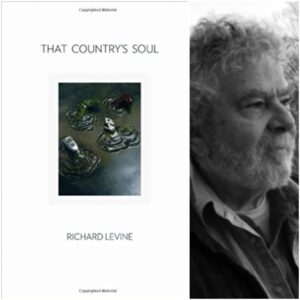 That Country's Soul by Richard Levine