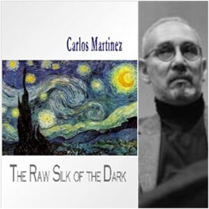 The Raw Silk of the Dark by Carlos Martinez