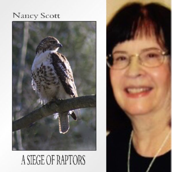 A Siege of Raptors by Nancy Scott