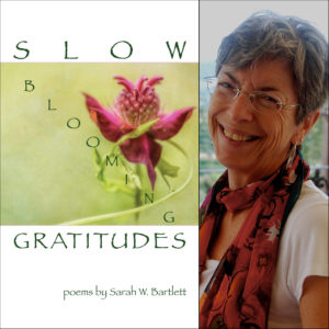 Slow Blooming Gratitudes (NWVS # 130) by Sarah W. Bartlett