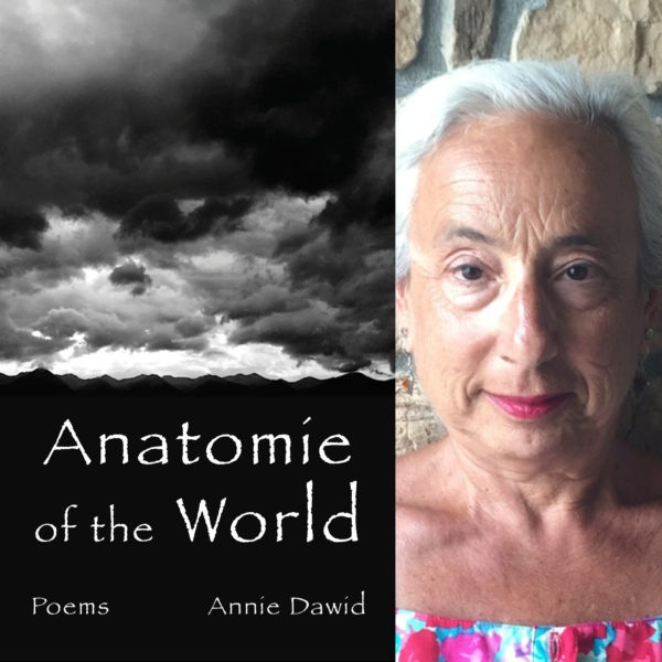 Anatomie of the World by Annie Dawid