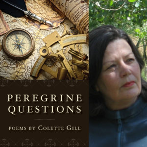Peregrine Questions by Colette Gill