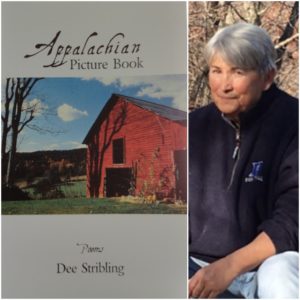 Appalachian Picture Book by Dee Stribling