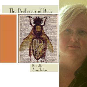The Professor of Bees  by Amy Tudor