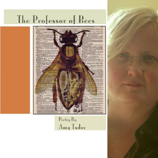The Professor of Bees  by Amy Tudor