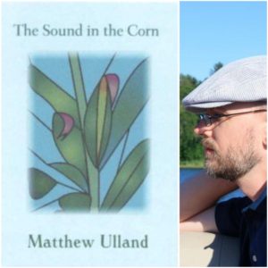 The Sound in the Corn by Matthew Ulland