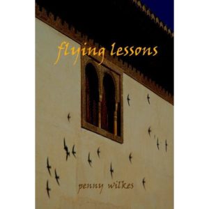 Flying Lessons by Penny Wilkes