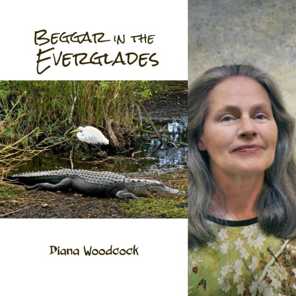 Beggar in the Everglades by Diana Woodcock
