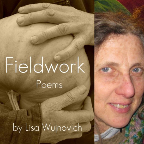 Fieldwork by Lisa Wujnovich
