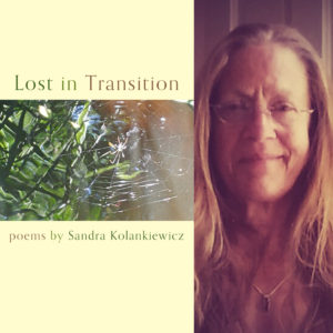 Lost in Transition by Sandra Kolankiewicz