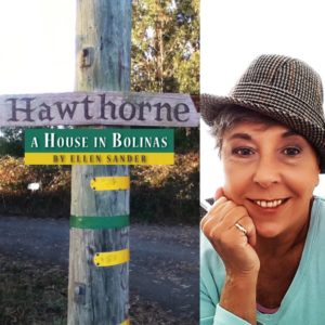Hawthorne, a House in Bolinas by Ellen Sander