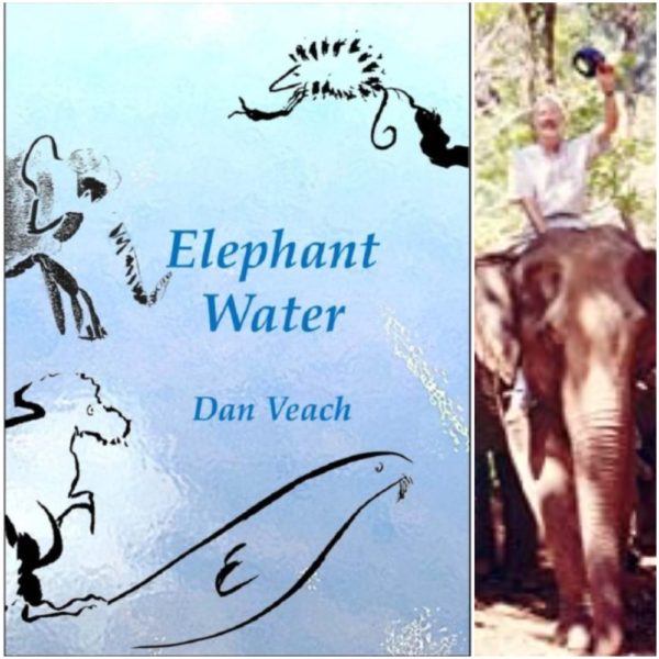 Elephant Water by Dan Veach