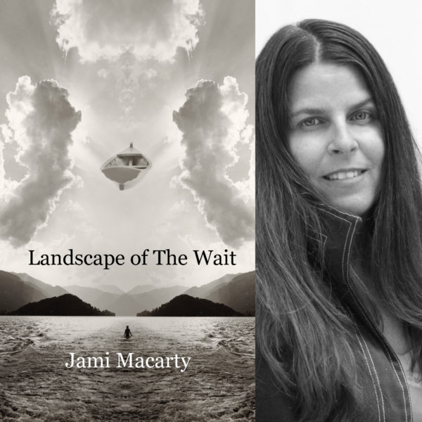 Landscape of The Wait by Jami Macarty