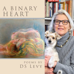 A BINARY HEART by DS Levy