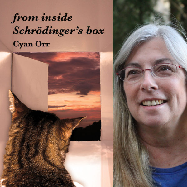 from inside  Schrödinger’s box by Cyan Orr