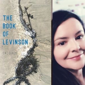 The Book of Levinson by Cat Dixon
