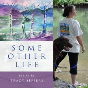 Some Other Life by Tracy Seffers