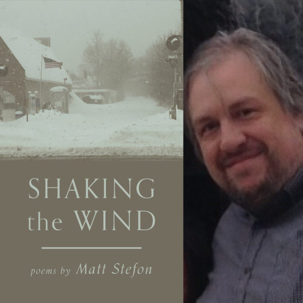Shaking the Wind by Matt Stefon