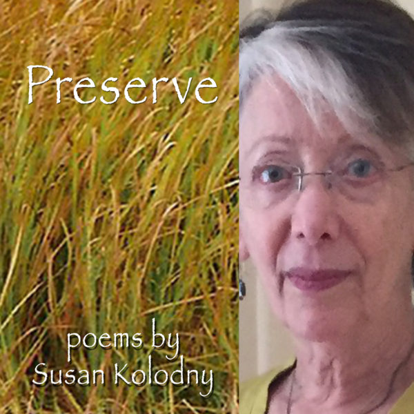 Preserve by Susan Kolodny