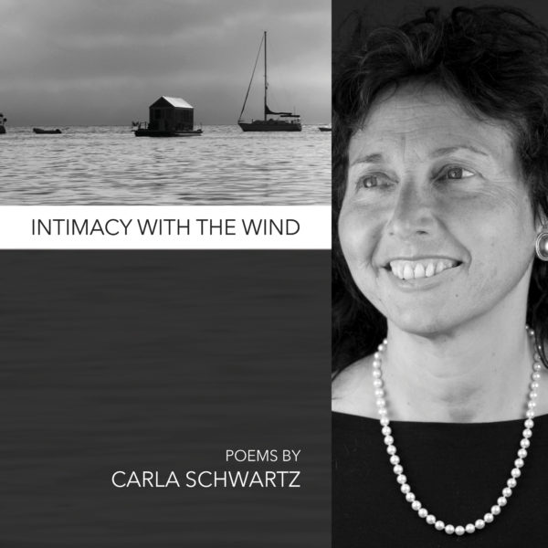 Intimacy with the Wind by Carla Schwartz