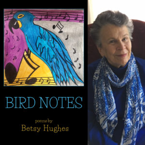BIRD NOTES by Betsy Hughes