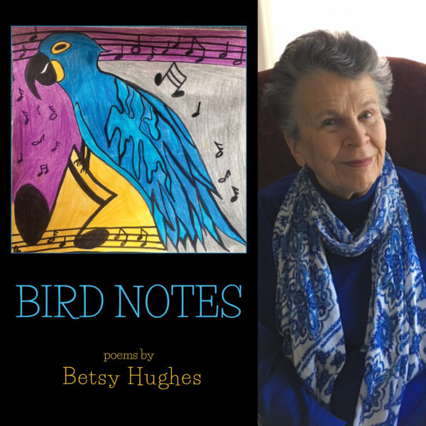 BIRD NOTES by Betsy Hughes
