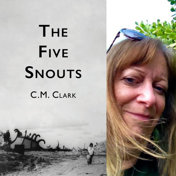 The Five Snouts by C.M. Clark