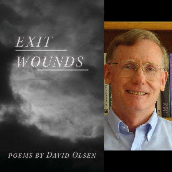 Exit Wounds by David Olsen