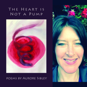 The Heart is Not a Pump by Aurore Sibley