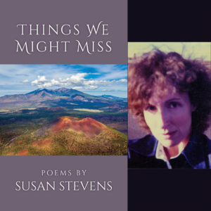 Things We Might Miss by Susan Stevens