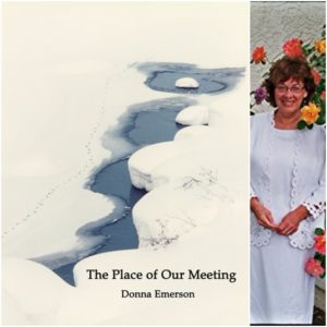 The Place of Our Meeting by Donna Emerson