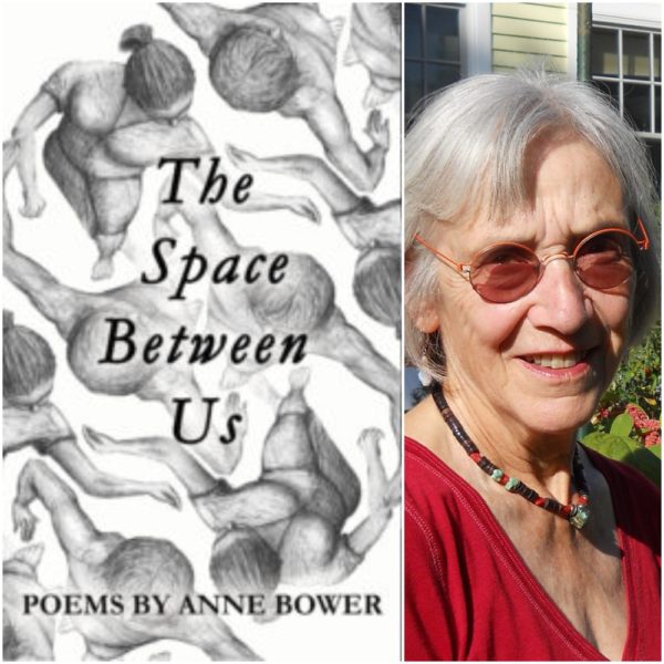 The Space Between Us by Anne Bower